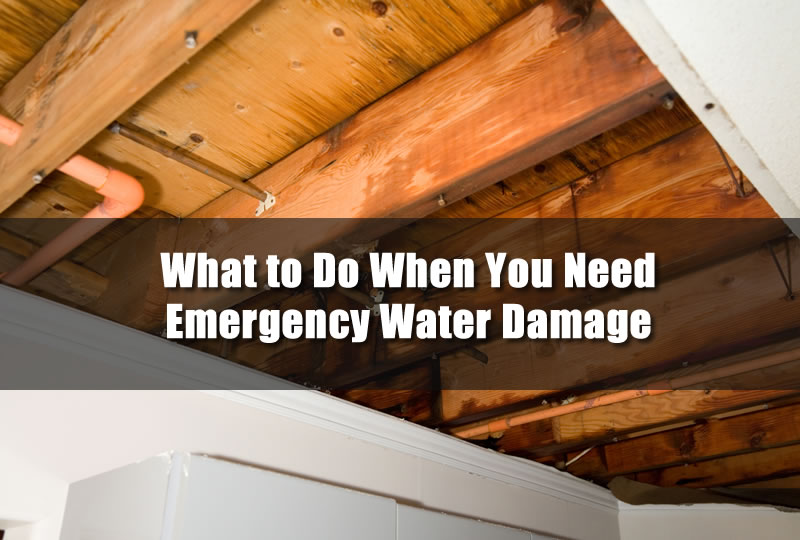 What to Do When You Need Emergency Water Damage in Wayne County Michigan