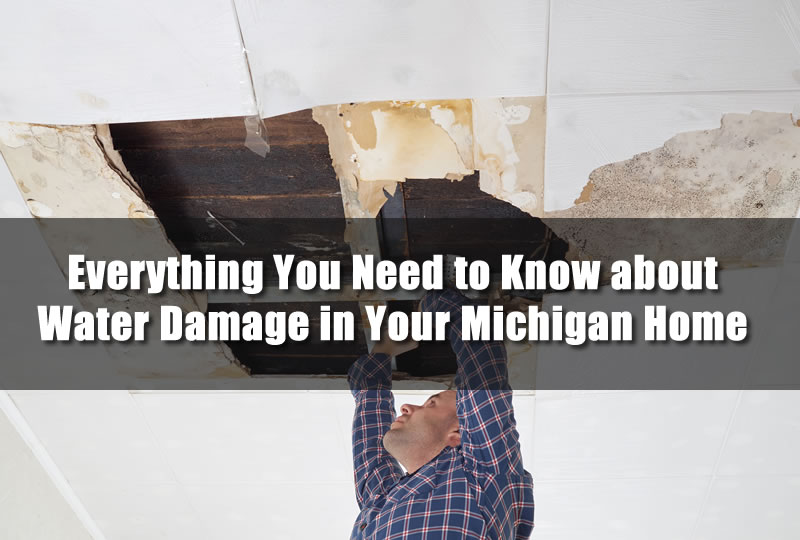 Everything You Need to Know about Water Damage in Your Michigan Home