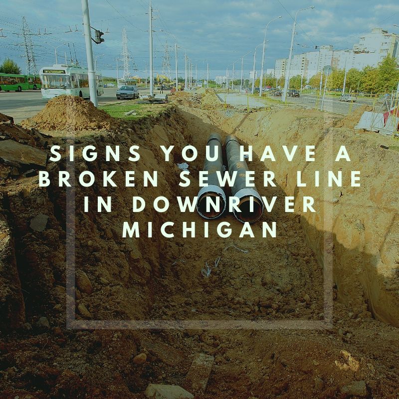 Signs You Have A Broken Sewer Line in Downriver Michigan
