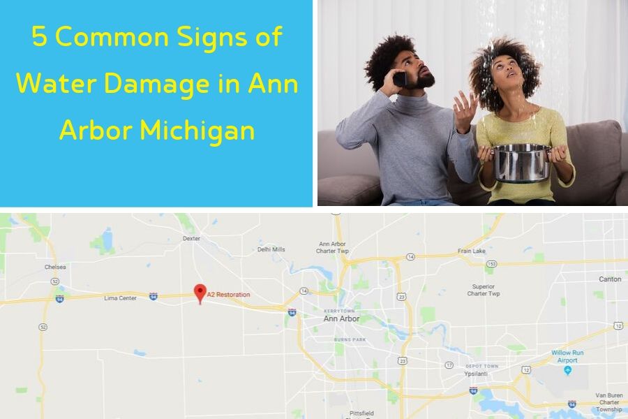 5 Common Signs of Water Damage in Ann Arbor Michigan