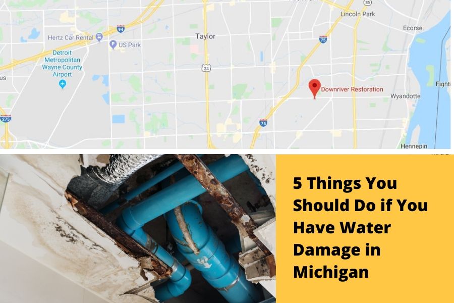 5 Things You Should Do if You Have Water Damage in Michigan