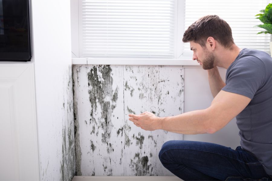 The Hidden Costs of Neglecting Window Maintenance in Older Homes in Livonia MI